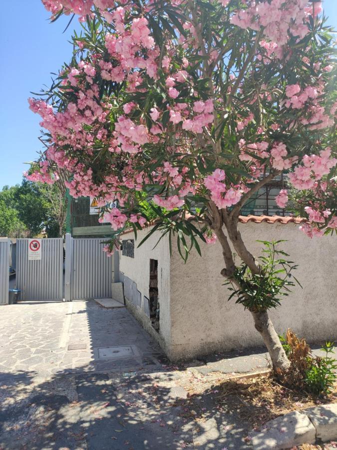 Casa Vacanze Fiumicino Extérieur photo